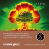Купить Satyr - Atomic Juice (Фейхоа) 25г